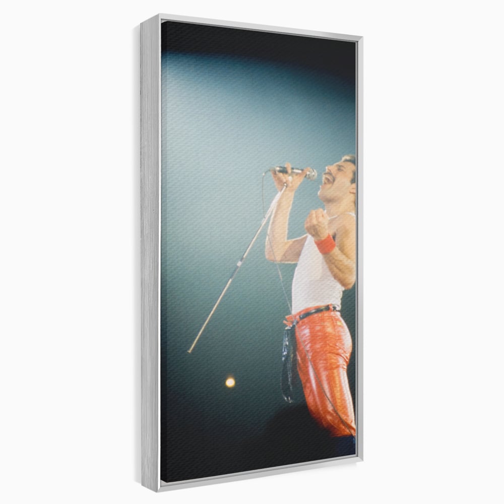 Tablou canvas cu tablou canvas cu freddie mercury, in rama de aluminiu argintiu